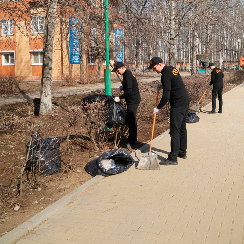 Уборка листьев в Луге